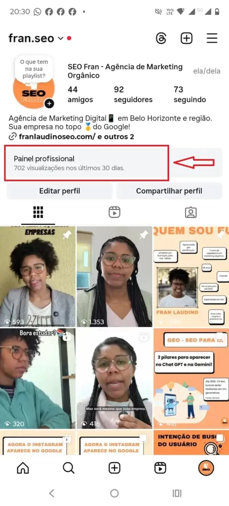 Perfil do instagram com uma marcação vermelha onde está localizado o painel profissional.